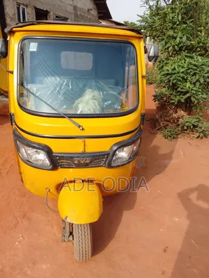 Tricycle 2024 Yellow
