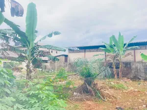 Half Plot of Land for Sale