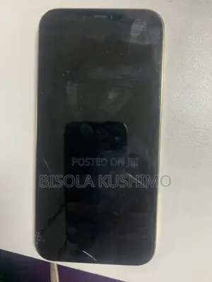Apple iPhone 12 Pro Max 256 GB Gold