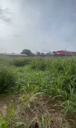 A Flat Land of 100/200 Feet Along Isiohor, Benin Lagos Rd for Sale