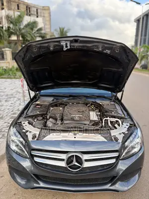 Mercedes-Benz C300 Luxury 4Matic Sedan AWD (2.0L 4cyl 7A) 2016 Gray