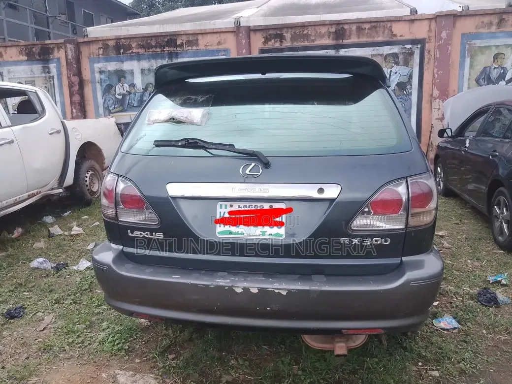 Lexus RX 300 4WD 2002 Gray