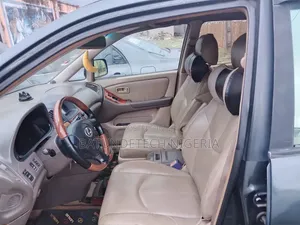 Lexus RX 300 4WD 2002 Gray