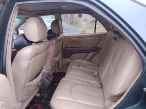Lexus RX 300 4WD 2002 Gray