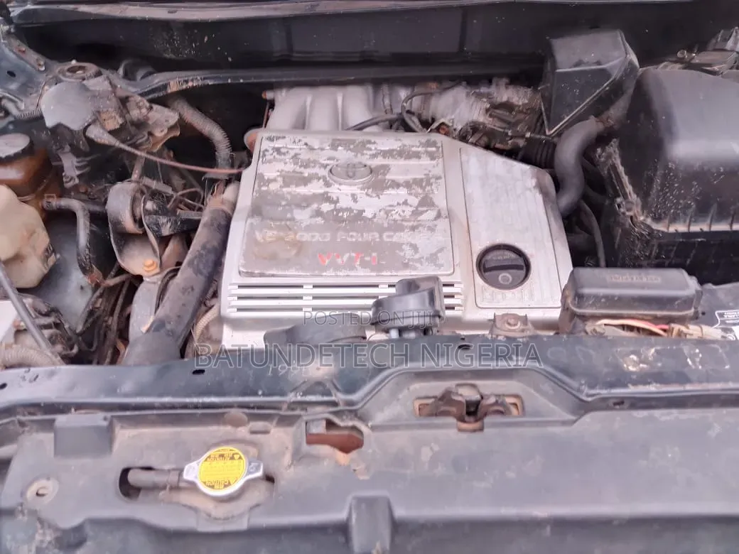 Lexus RX 300 4WD 2002 Gray