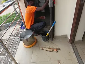Professional Paint Removal
