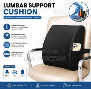Lumbar Support Cushion for Office Chair, Car Seat Home – Ergonomic