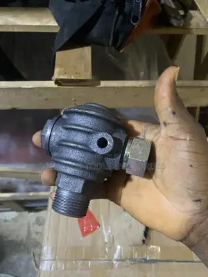 A Heavy-Duty Cast-Iron Non-Return Check Valve