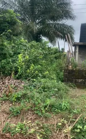 Land for Sale - Oke-Ela Ipari Oda, Ilaro