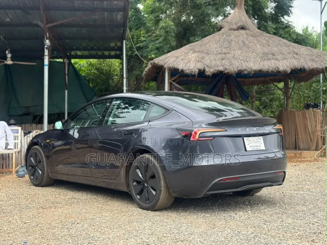 Tesla Model 3 2025 Gray