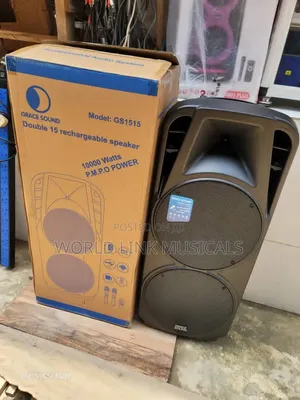 Double 15inches Public Address System
