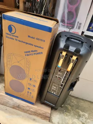 Double 15inches Public Address System