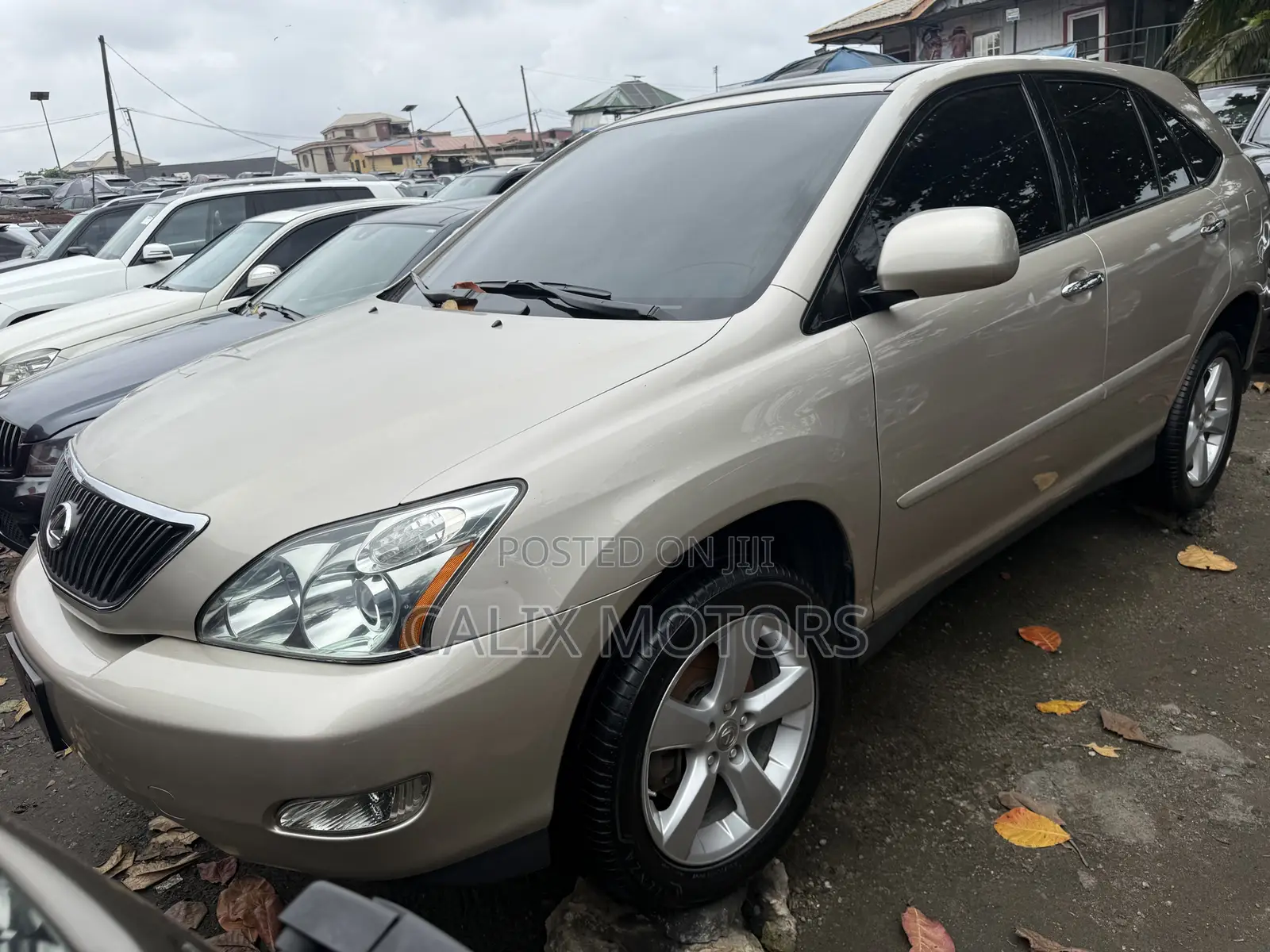 Lexus RX 2006 Gold