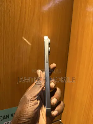 Apple iPhone 15 Pro Max 256 GB Silver