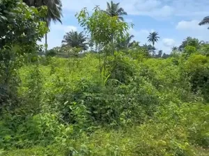 Standard 465sqm Plot at Alma's Court and Garden Omagwa - Port Harcourt