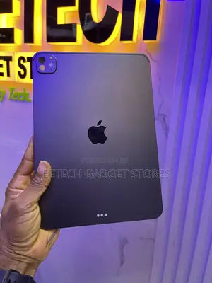 Apple iPad Pro 256 GB Gray
