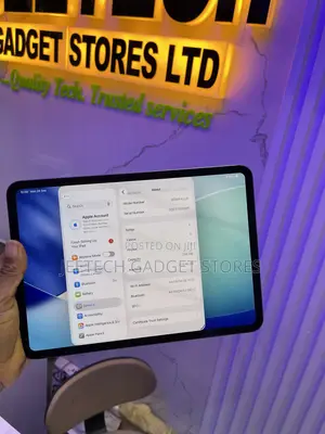 Apple iPad Pro 256 GB Gray