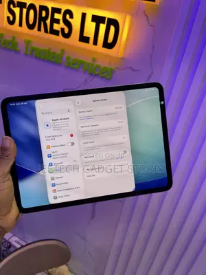 Apple iPad Pro 256 GB Gray