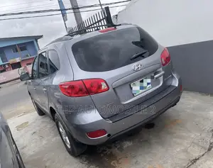 Hyundai Santa Fe 2008 Gray
