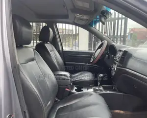 Hyundai Santa Fe 2008 Gray