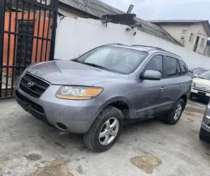 Hyundai Santa Fe 2008 Gray