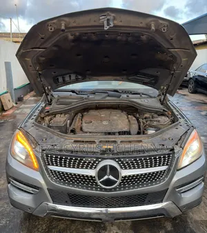 Mercedes-Benz M Class 2014 Silver