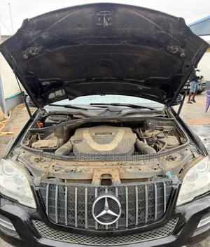 Mercedes-Benz M Class 2010 Black