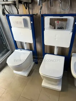 Concealed Water Closet White Color Available