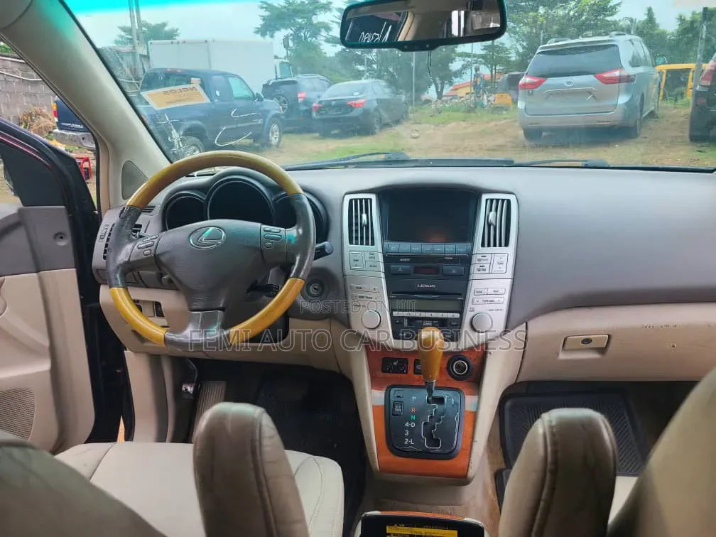 Lexus RX 2008 Brown
