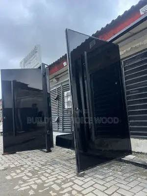 Glossy Finished Pivot Door