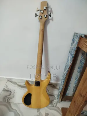Electric Guitar