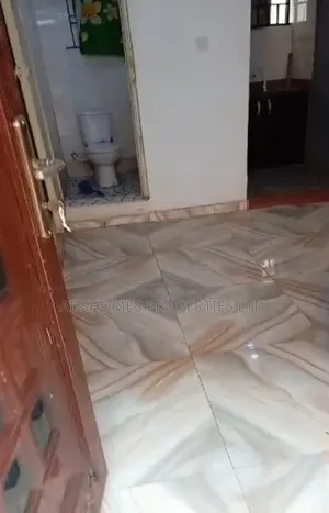 1bdrm Bedsitter in Ketu-Alapere for rent