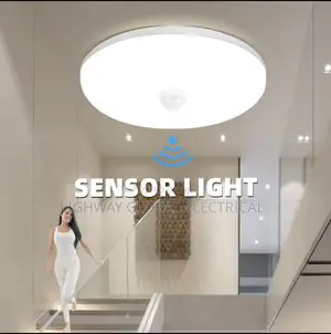 Motion Sensor Ceiling Light