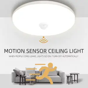 Motion Sensor Ceiling Light