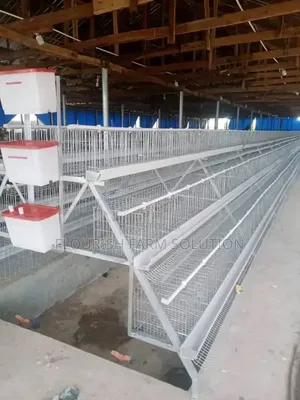 Fortune Poultry Cage