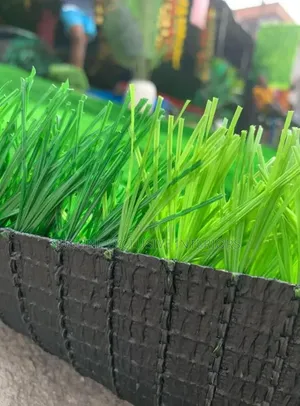 Football Pitch Grass