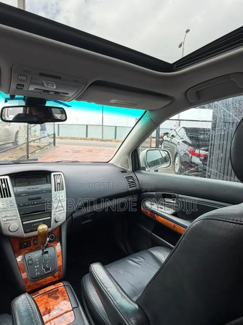 Lexus RX 2009 Silver