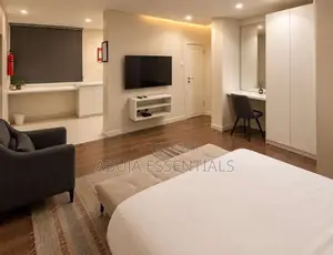 Astonishing Studio Apartment