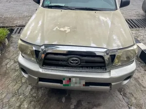 Toyota Tacoma 2010 Silver