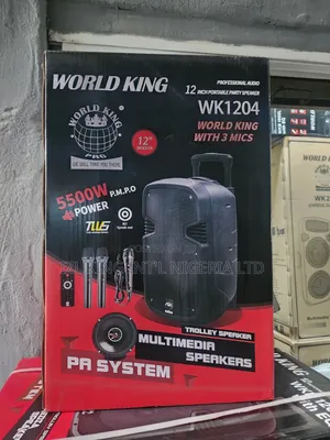 12” Public Address System With Bluetooth,And Two Wireless Microphone