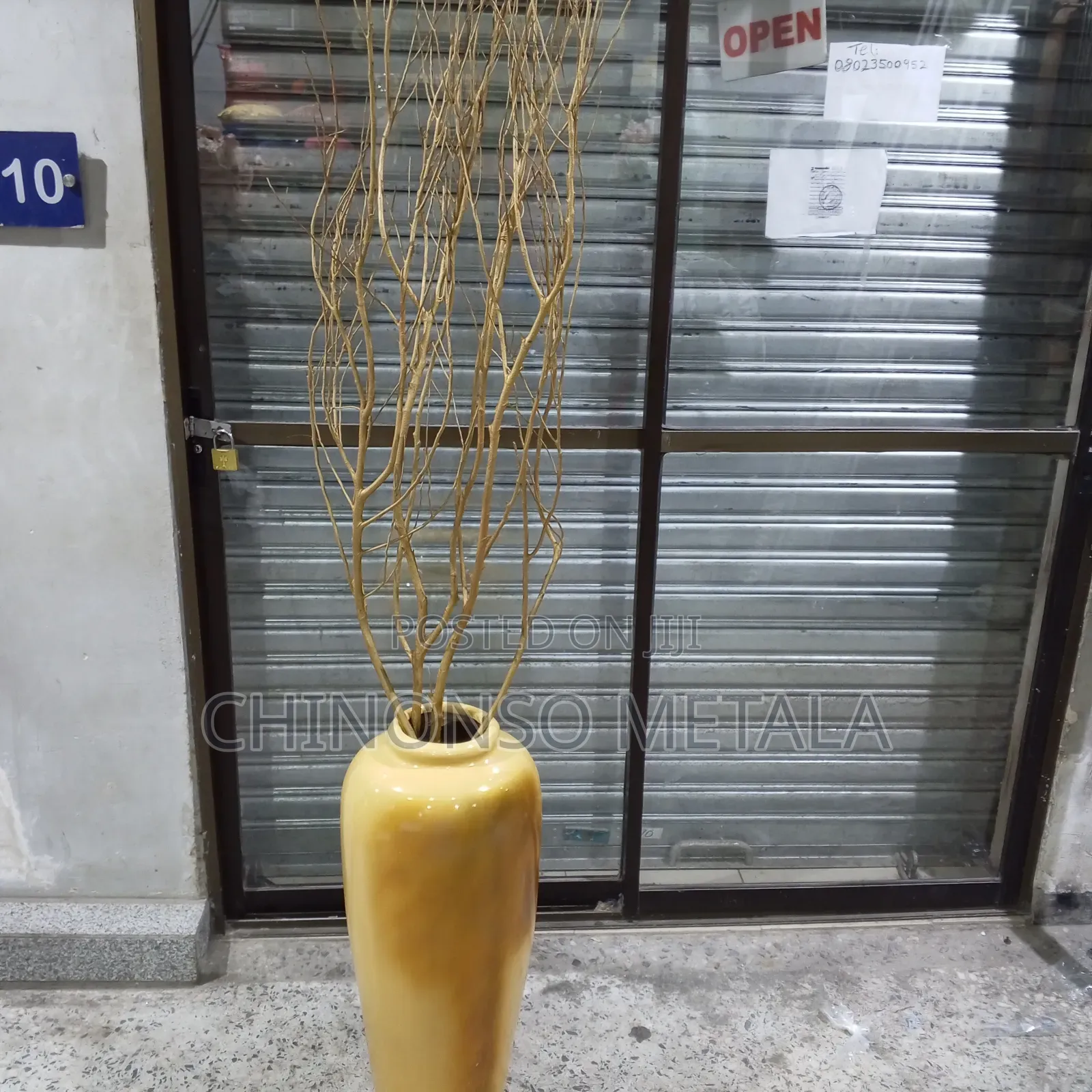 Fiber Glass Pots and Skeleton Plants