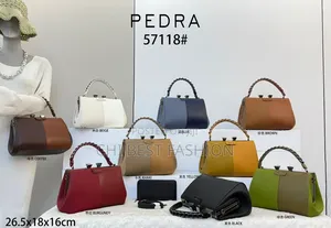 Goyard Stock Handbag for Ladies and Women
