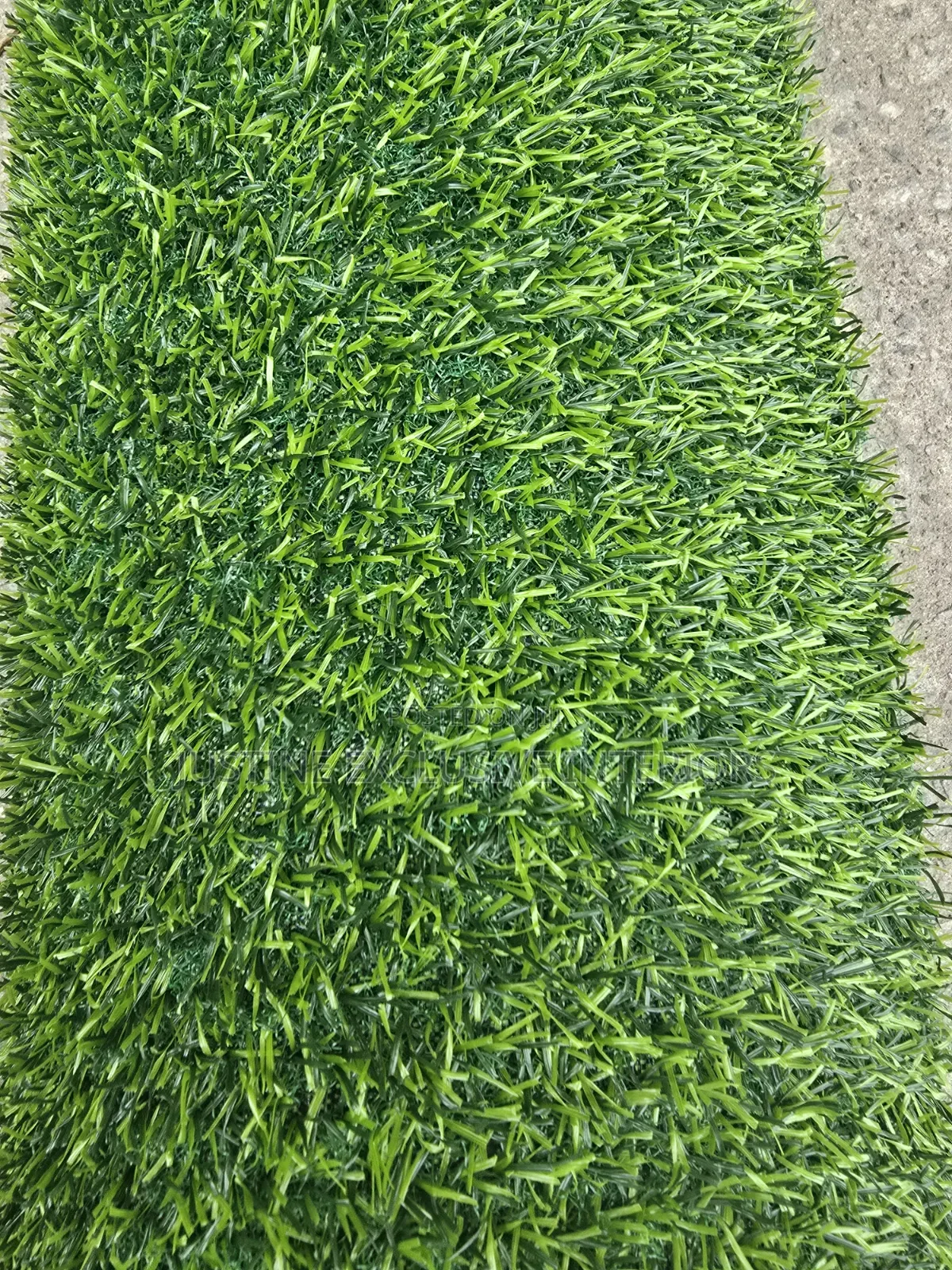Grass Carpet