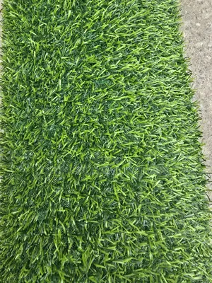 Grass Carpet