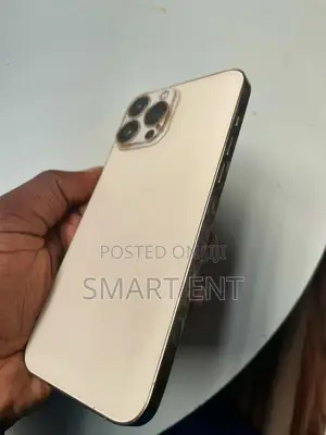 Apple iPhone 13 Pro Max 256 GB Gold