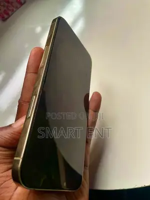 Apple iPhone 13 Pro Max 256 GB Gold