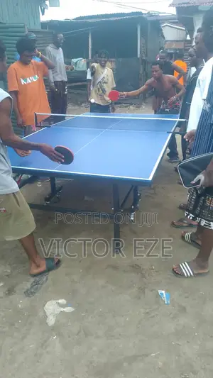 Standard Table Tennis and Snooker for Sell .