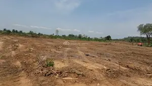Affordable and Genuine Residential Land Within Good Proximity to Town