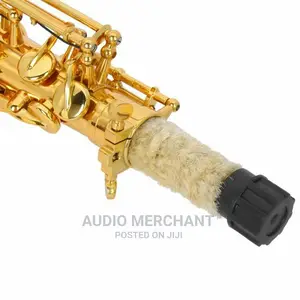 Alto Saxophone – Gold and Silver Available