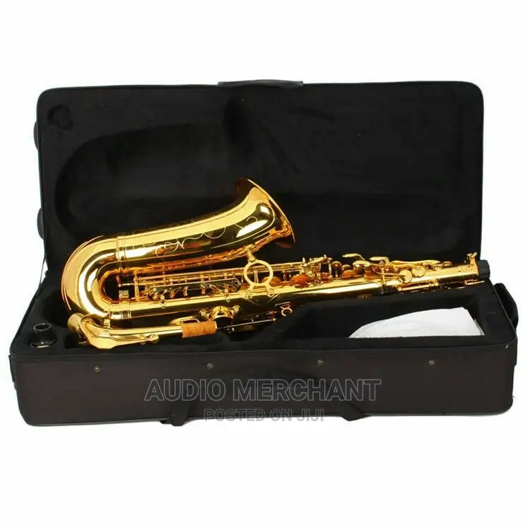 Alto Saxophone – Gold and Silver Available
